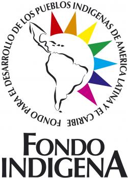 logo_fondo_indigena