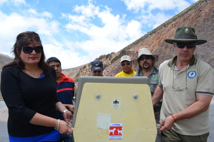 La ministra de Medio Ambiente de la Provincia, María Inés Zigarán, junto al personal de la Administración de Parques Nacionales, traslada la jaula donde se encuentra Willaq.